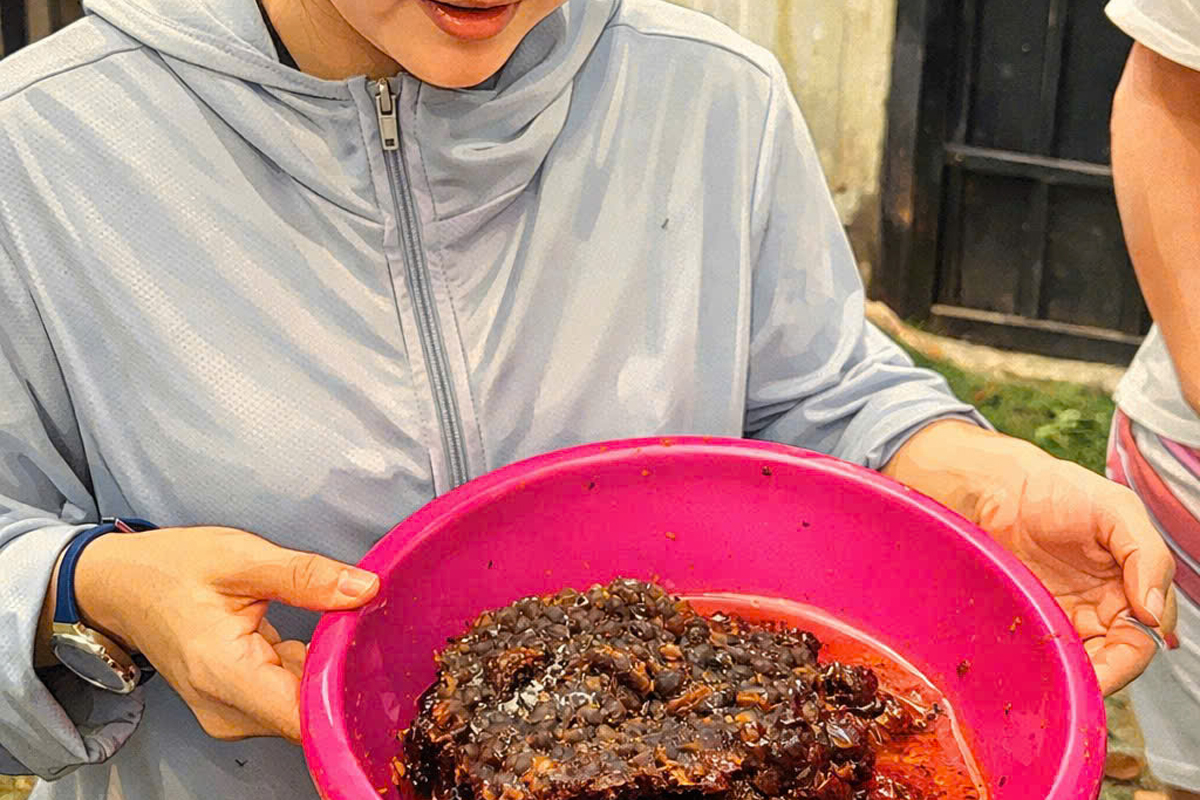 Gallery 3 - hũ thành phẩm