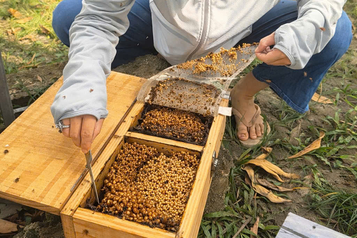 Gallery 5 - đóng gói